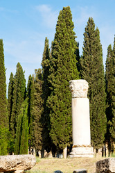 Similar image 10961565