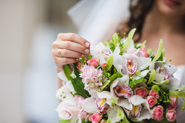 Similar image 10959834