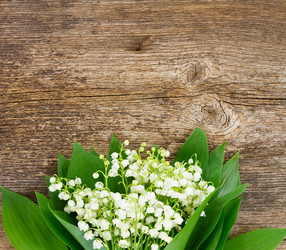 Similar image 11143777