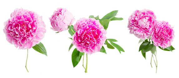 Similar image 11143778