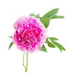 Similar image 11143779