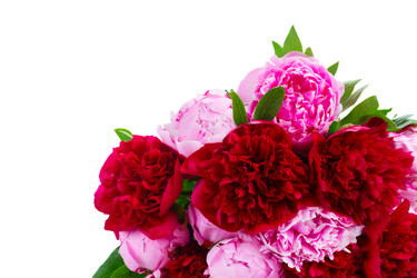 Similar image 11143869