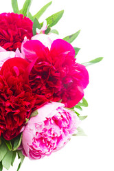 Similar image 11143872