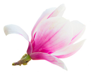 Similar image 11143947