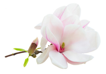 Similar image 11143972