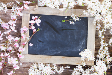 Similar image 11144299