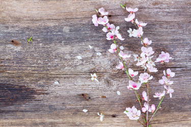 Similar image 11144322