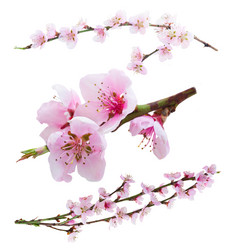 Similar image 11144324