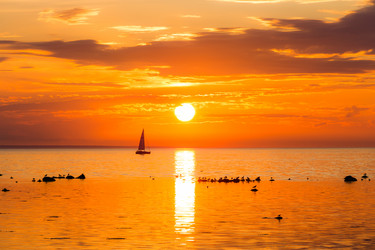 Similar image 11067223