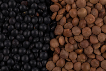 Similar image 11064867