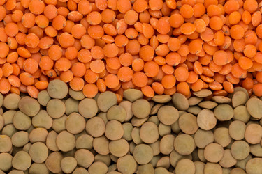 Similar image 11064869