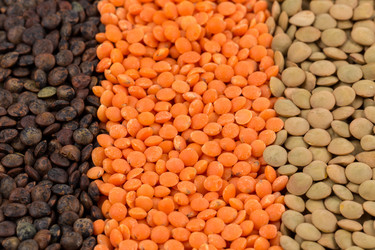 Similar image 11064872