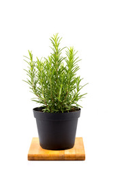 Similar image 11065015