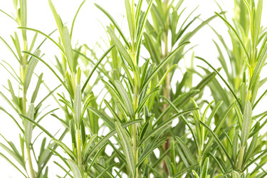 Similar image 11065055