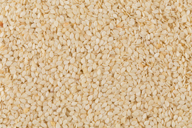 Similar image 11065157