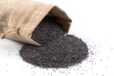 Similar image 11066194