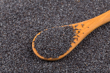 Similar image 11066200