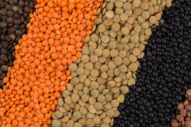 Similar image 11066205