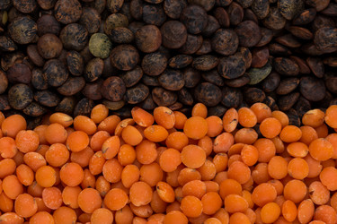 Similar image 11066212