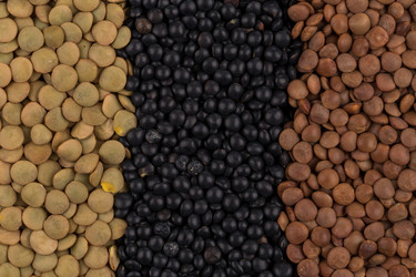 Similar image 11066248