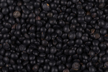 Similar image 11066540