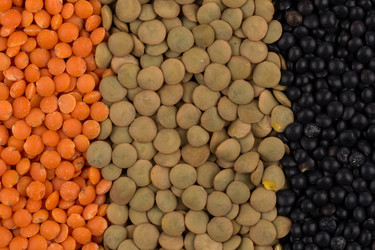 Similar image 11066825