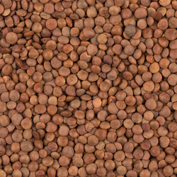 Similar image 11066837