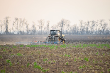 Similar image 11331774