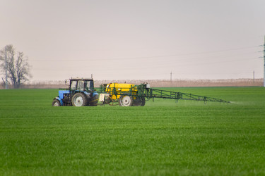 Similar image 11331778