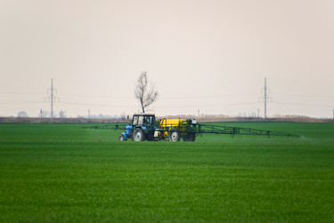 Similar image 11331780