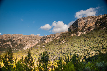 Similar image 11046544