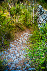 Similar image 11046547