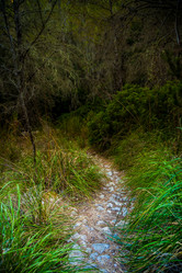 Similar image 11046585