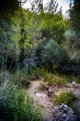 Similar image 11046623