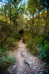 Similar image 11046626