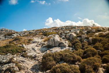 Similar image 11046643