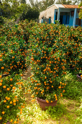 Similar image 11046839