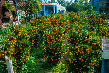 Similar image 11046841