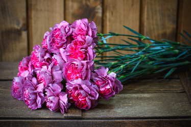 Similar image 10959348