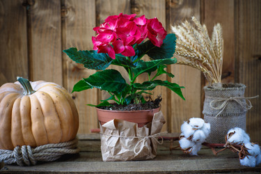 Similar image 10959349