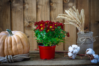 Similar image 10959351