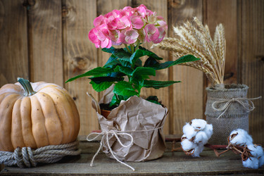 Similar image 10959352