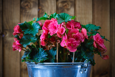 Similar image 10959358