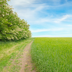 Similar image 10959691