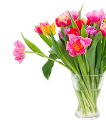 Similar image 11143466