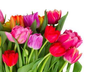 Similar image 11143510