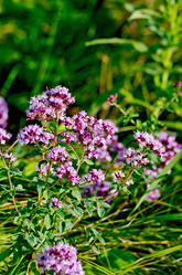 Similar image 10960145