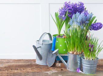 Similar image 11144367