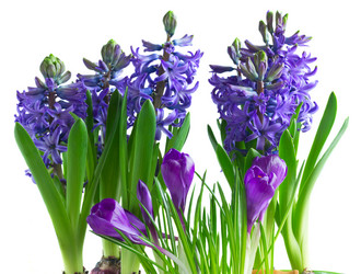 Similar image 11142702