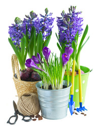 Similar image 11143566